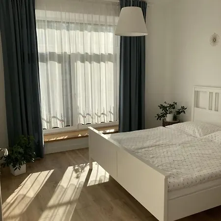The House